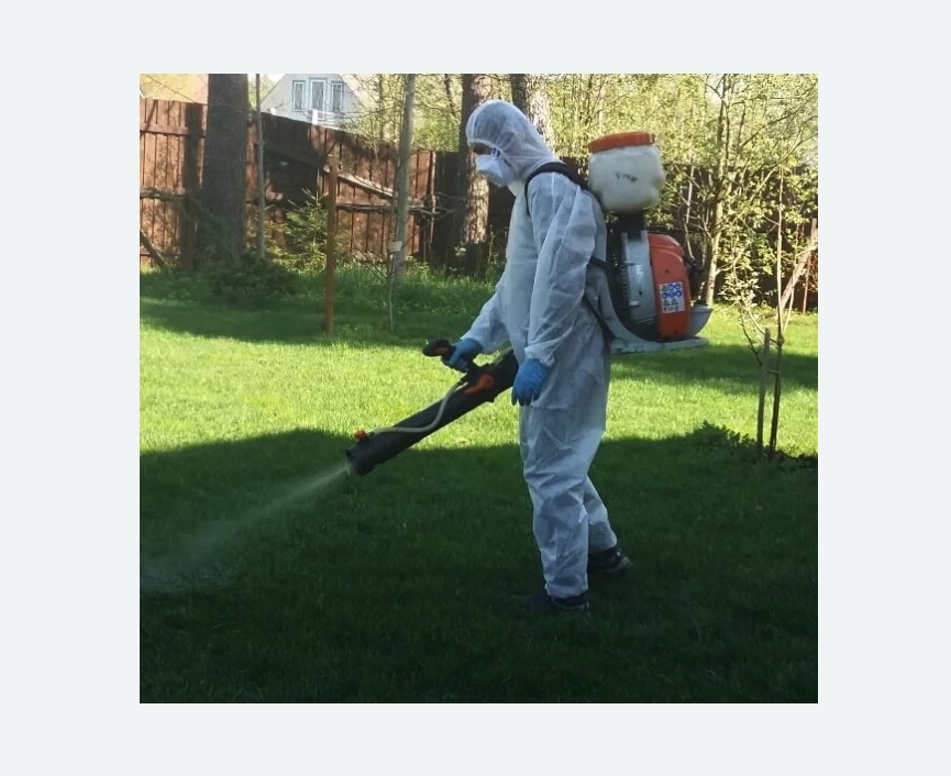 Обработка территории от клещей в Ржеве