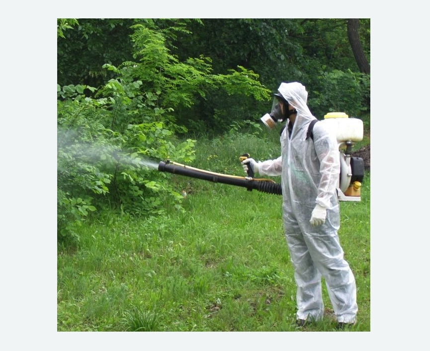 обработка территории от клещей в Ржеве