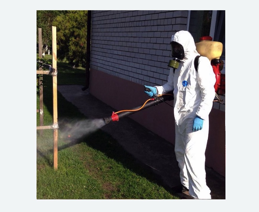 травля клещей на участке в Ржеве