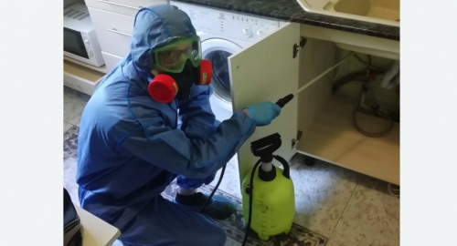 Уничтожение муравьев в квартире. Ржев