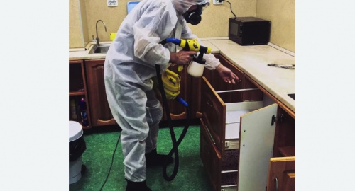 Дезинсекция квартиры. Ржев
