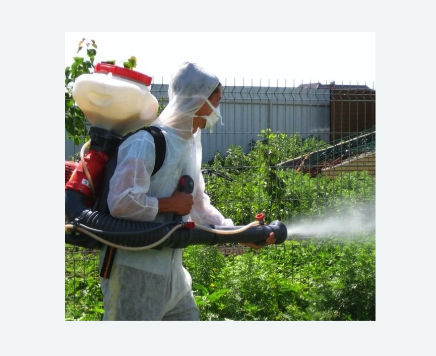 Акарицидная обработка территории в Ржеве