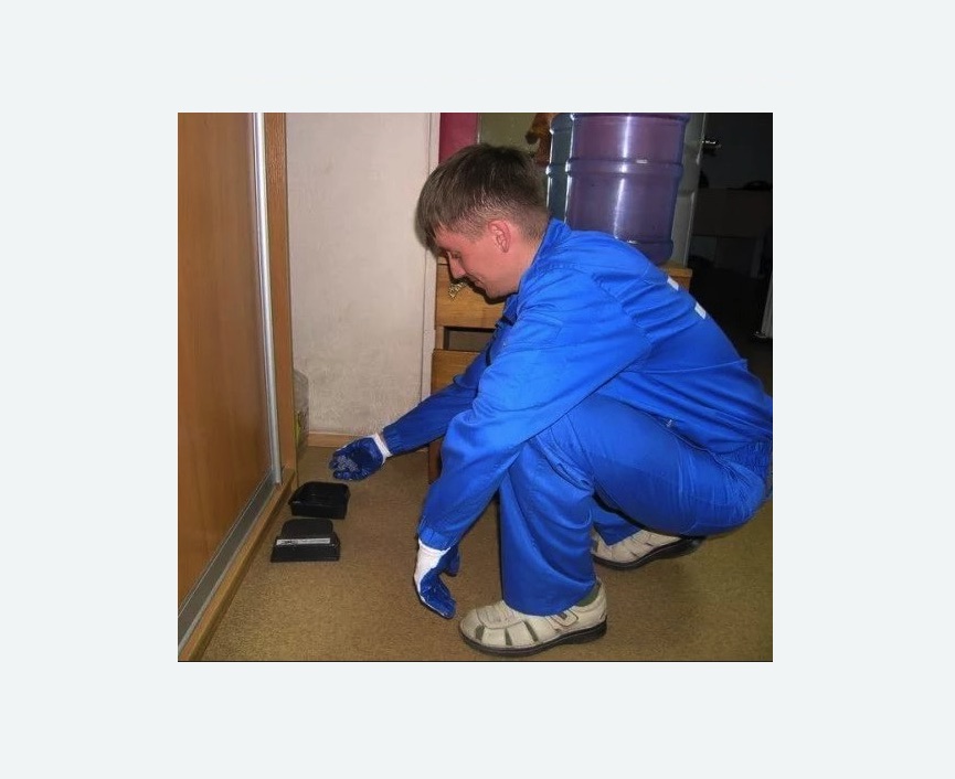 Дератизация крыс в Ржеве