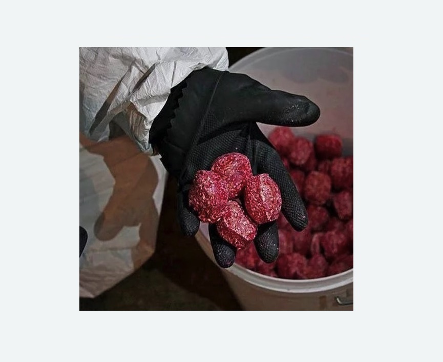 Обработка от крыс в Ржеве