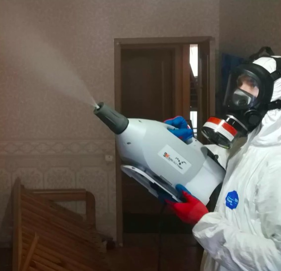 дезинсекция помещения в Ржеве