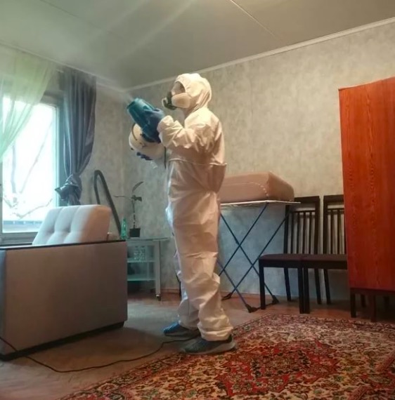 дезинсекция квартиры в Ржеве