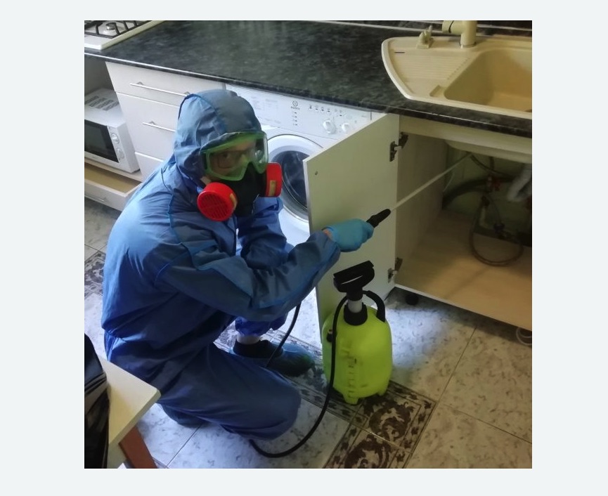 обработка от муравьев в квартире в Ржеве