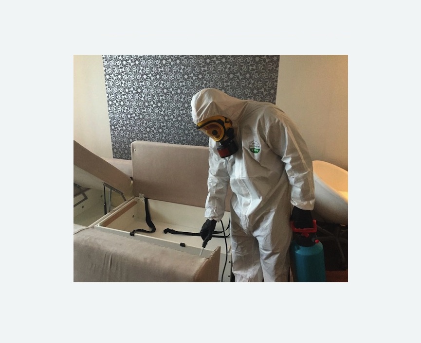 уничтожение клопов в квартире в Ржеве