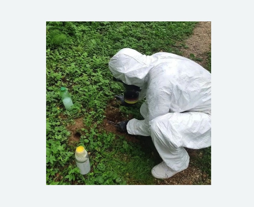 уничтожение кротов на участке уничтожение кротов на участке в Ржеве