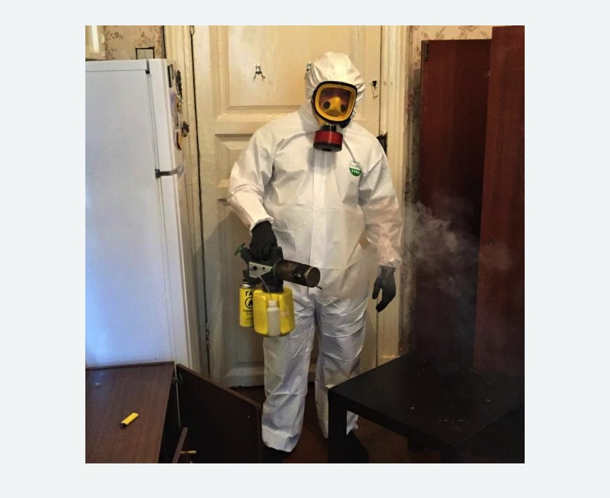 уничтожение муравьев в квартире в Ржеве